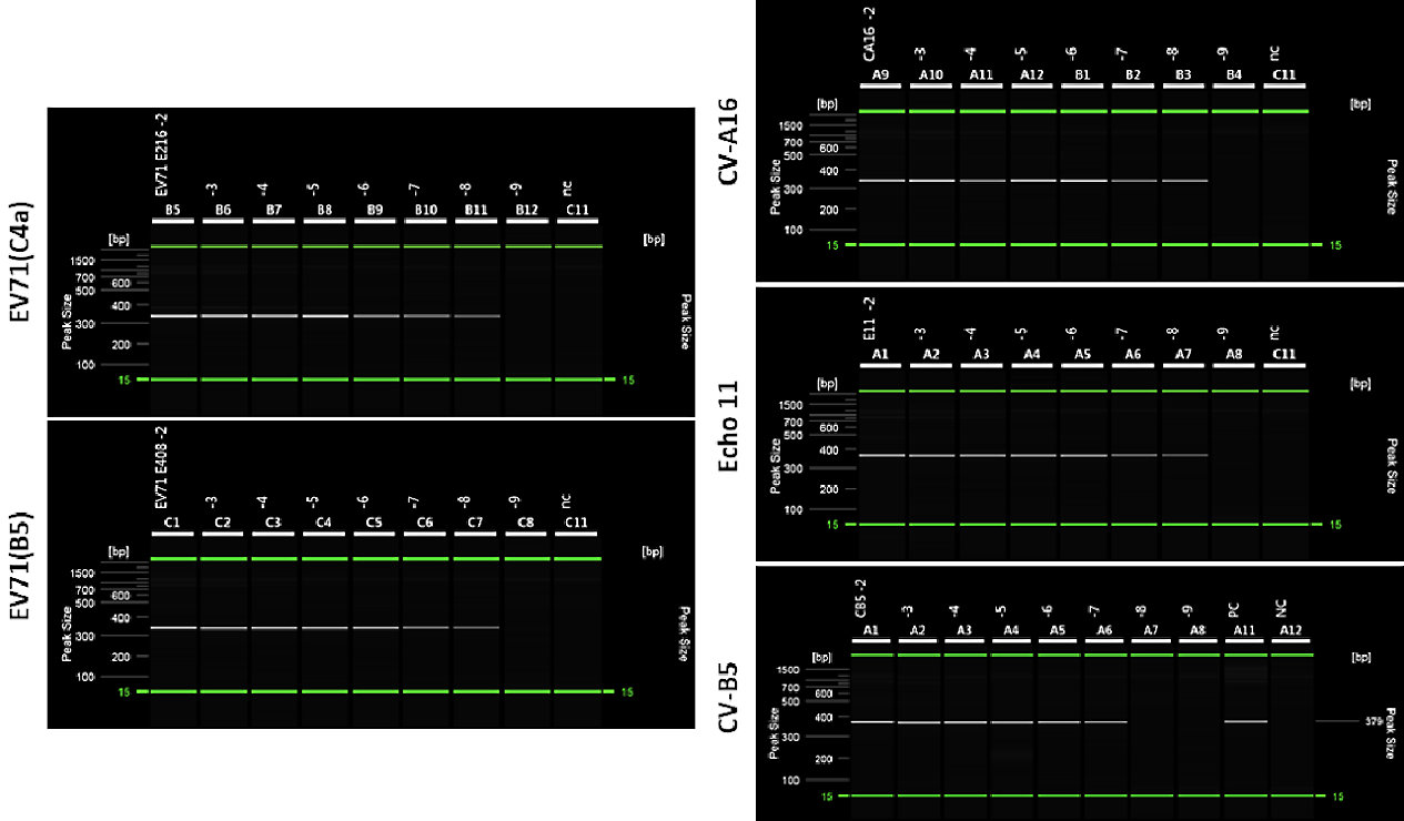 Human Enterovirus Typing / QPCR test kits Charts