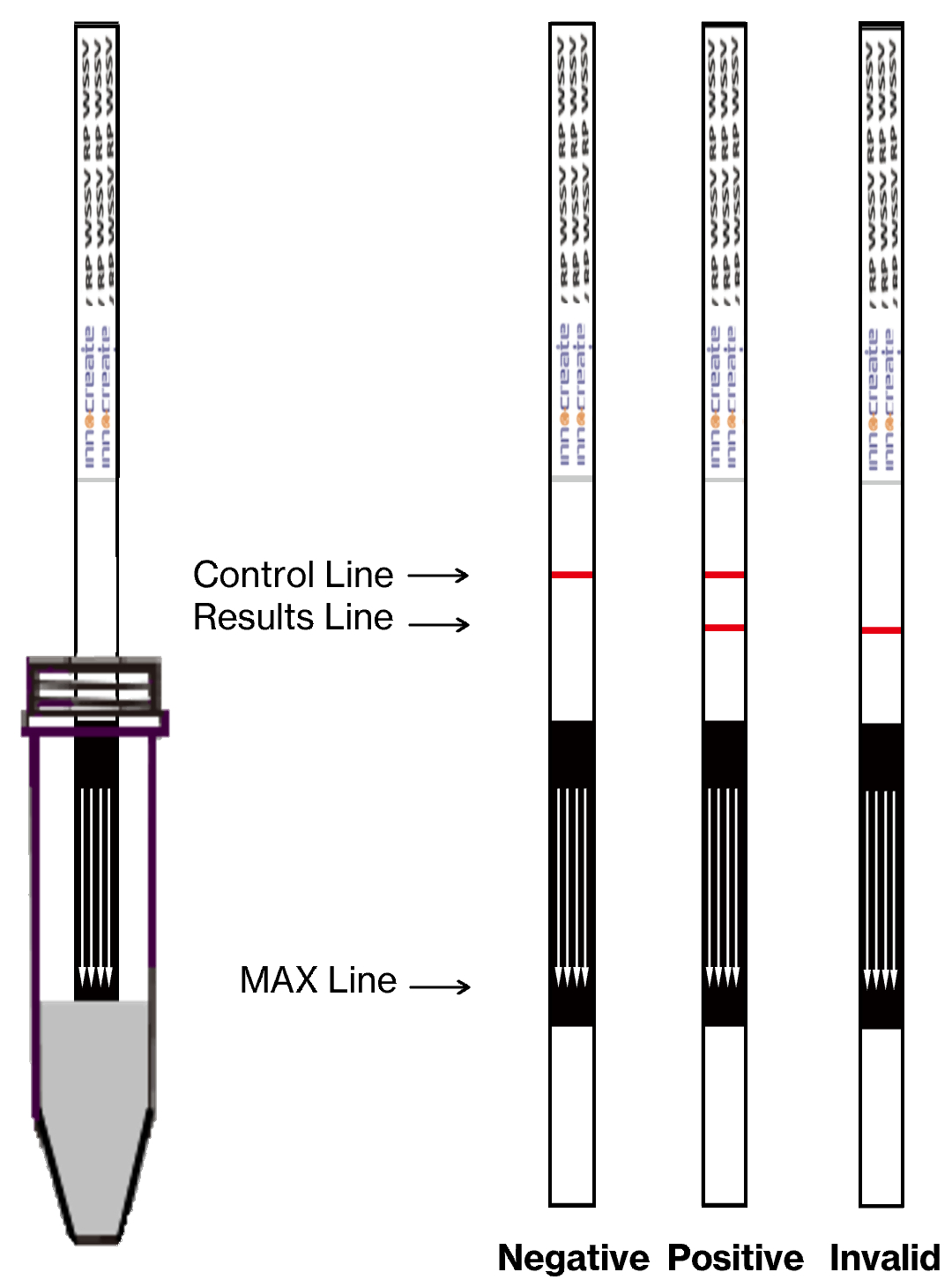 WSSV RP Rapid Test Kit